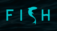 Товары Каталог производителя FISH - НаВелосипеде.рф Товары Каталог производителя FISH