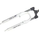 Вилка велосипедная RST Capa Т, 24 х 28,6, пружинно-эластомерная, V+D, белая, 6-418, изображение  - НаВелосипеде.рф