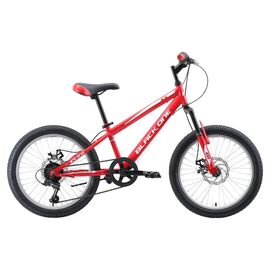 Детский велосипед Black One Ice D 20" 2019, Вариант УТ-00156630: Возраст: 6-9 (Рост: 115 - 135 см), Цвет: красно-бело-серый , изображение  - НаВелосипеде.рф