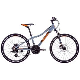Подростковый велосипед Giant XTC Jr 1 Disc 24" 2019, Вариант УТ-00139641: Рама: OneSize (Возраст: 8-10 лет), Цвет: серый, изображение  - НаВелосипеде.рф