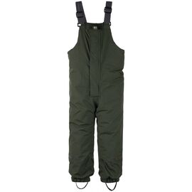 Штаны детские Didriksons VIGGEN KIDS PANTS, элегантный зелёный, 502585, Вариант УТ-00169986: Размер: 100, изображение  - НаВелосипеде.рф