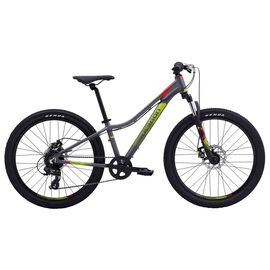 Подростковый велосипед Polygon RELIC 502476 24" 2018, Вариант УТ-00168858: Рама: one size (Рост: 127-142 см), Цвет: Grey, изображение  - НаВелосипеде.рф