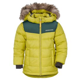 Куртка детская Didriksons DIGORY KIDS PUFF JKT, морская капуста, 502651, Вариант УТ-00172602: Размер: 100, изображение  - НаВелосипеде.рф