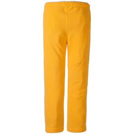 Штаны детские Didriksons MONTE KIDS MICROFLEECE PANTS, золотисто-желтый, 502947, Вариант УТ-00176041: Размер: 100, изображение  - НаВелосипеде.рф