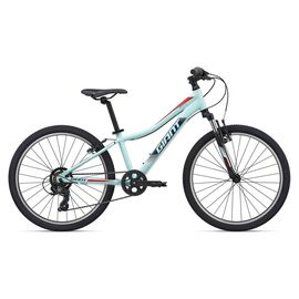 Подростковый велосипед Giant XTC Jr 24" 2020, Вариант УТ-00202721: Рама: OneSizeOnly (Рост: 135-150 см), Цвет: ледяной зеленый, изображение  - НаВелосипеде.рф