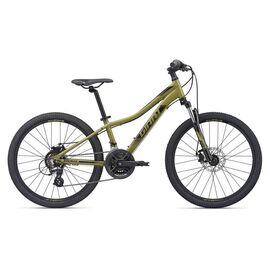 Подростковый велосипед Giant XTC Jr Disc 24" 2020, Вариант УТ-00202723: Рама: OneSizeOnly (Рост: 130-150 см), Цвет: оливковый, изображение  - НаВелосипеде.рф