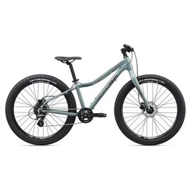 Подростковый велосипед Giant XTC Jr 26" 2020, Вариант УТ-00202725: Рама: OneSizeOnly (Рост: 145-165 см), Цвет: серый, изображение  - НаВелосипеде.рф