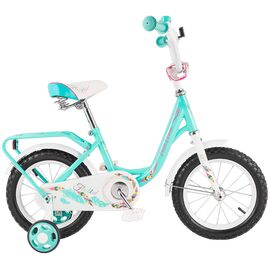 Детский велосипед TECH TEAM 131 16" 2018, Вариант УТ-00214296: Возраст: 5-7 лет (Рост: 100-125см), Цвет: зеленый, изображение  - НаВелосипеде.рф