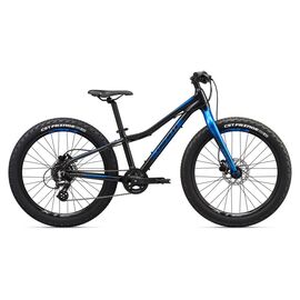 Подростковый велосипед Giant XtC Jr 24+ 2020, Вариант УТ-00208333: Рама: OneSizeOnly (Рост: 130-150см), Цвет: оружейный черный, изображение  - НаВелосипеде.рф