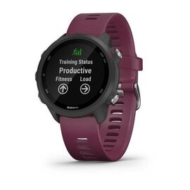 Смарт-часы Garmin Forerunner 245 GPS EU, Black/Berry, 010-02120-11, изображение  - НаВелосипеде.рф