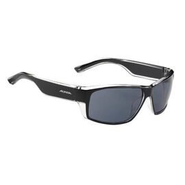 Очки велосипедные Alpina CASUAL A 61, солнцезащитные, black transparent, 8412431, изображение  - НаВелосипеде.рф