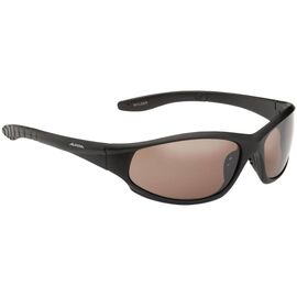 Очки велосипедные Alpina WYLDER, black matt, A8369335, изображение  - НаВелосипеде.рф