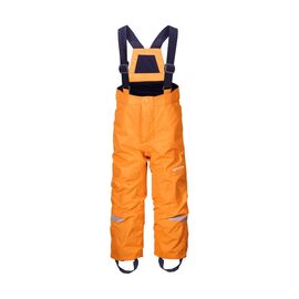 Штаны детские Didriksons IDRE KIDS PANTS, 156 морковный, 501852, Вариант УТ-00232243: Размер: 100, изображение  - НаВелосипеде.рф