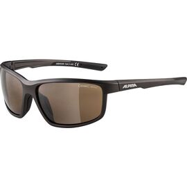 Очки велосипедные Alpina Defey, солнцезащитные, Tin Matt-Black /Brown Mirror, A8645320, изображение  - НаВелосипеде.рф