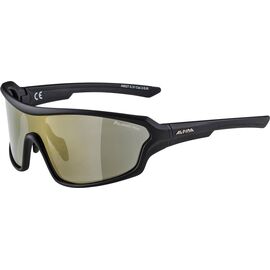 Очки велосипедные Alpina Lyron Shield, солнцезащитные, Black matt PMBR, A86275_31, изображение  - НаВелосипеде.рф