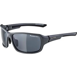 Очки велосипедные Alpina Lyron, солнцезащитные, grey matt-Black PM, A8628525, изображение  - НаВелосипеде.рф