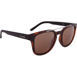 Очки велосипедные Alpina Sylon, солнцезащитные, Black-havana matt CMBR, A86093_91, изображение  - НаВелосипеде.рф