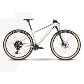 Горный велосипед BMC Twostroke 01 ONE X01 Eagle mix 29" 2021, Вариант УТ-00243229: Рама: М (Рост: 170-180см), Цвет: Arctic Silver Prisma, изображение  - НаВелосипеде.рф