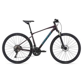 Гибридный велосипед Giant Roam 0 Disc 28" 2021, Вариант УТ-00263843: Рама: L (Рост: 180-190 см), Цвет: Rosewood, изображение  - НаВелосипеде.рф