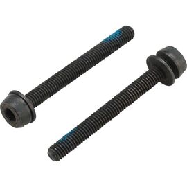 Болт для калипера Campagnolo, 2x44 mm screws x 35-39 mm R mount thickness, AC18-DBSC44, изображение  - НаВелосипеде.рф