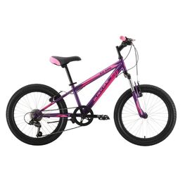 Детский велосипед Black One Ice Girl 20" 2022, HQ-0005361, Вариант УТ-00289821: Возраст: 5-9 лет (Рост: 110-135 см), Цвет: фиолетовый/розовый/розовый, изображение  - НаВелосипеде.рф