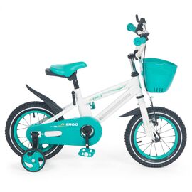 Детский велосипед N.ERGO E12L, GL001339797, Вариант УТ-00288478: Возраст: 3-5 лет. Цвет: Белый/зеленый, изображение  - НаВелосипеде.рф