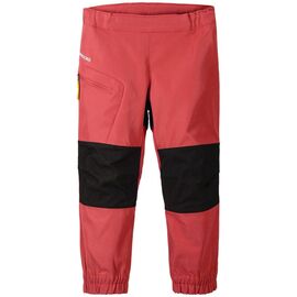 Детские штаны DIDRIKSONS ZEA KIDS PANTS, маково-оранжевый, 503586, Вариант УТ-00289215: Размер: 100, изображение  - НаВелосипеде.рф