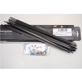 Спицы Campagnolo 284мм, R0140821, изображение  - НаВелосипеде.рф