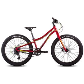 Подростковый велосипед Merida Matts J.24+ Pro, 24", 2023, RU39733, Вариант УТ-00339756: Рама:One Size; Цвет: Purple/BlackChampagne, изображение  - НаВелосипеде.рф