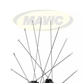 Спица Mavic AKSIUM Disc 293mm, V2275301, изображение  - НаВелосипеде.рф