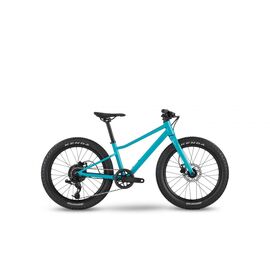 Велосипед детский BMC Twostroke AL 20 V2 X4 1x8, 2023, TS20, изображение  - НаВелосипеде.рф