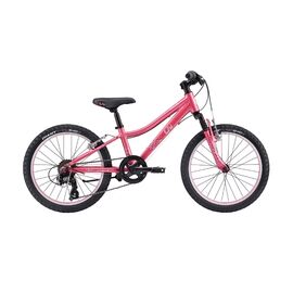 Детский велосипед Giant Liv Enchant 20" 2017, Вариант УТ-00061682: Возраст: 6 - 9 лет / рост до 135 см, Цвет: розово-серебряный , изображение  - НаВелосипеде.рф