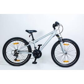 Подростковый велосипед HORST Stich 24" 2018, Вариант УТ-00075797: Рама 12" (Рост 118-130 см) Цвет серебристый, изображение  - НаВелосипеде.рф