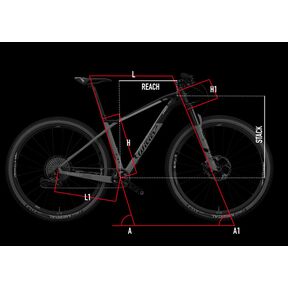 Wilier 110 x 2019 shop