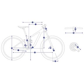 giant terrago 2 29 2020
