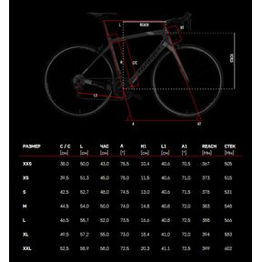 Wilier hot sale gtr 2019