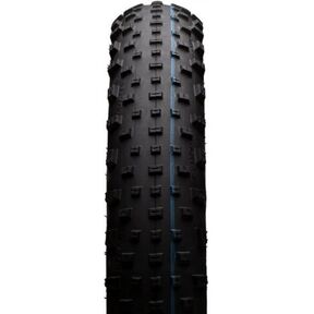 schwalbe jumbo jim evolution line 26 x 4.0 11600714.01