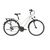 Туристический велосипед KELLYS CRISTY 30 28" 2019, VK19186-M, Вариант УТ-00158330: Рама: 17" (Рост: 157 - 171 см), Цвет: белый, изображение  - НаВелосипеде.рф