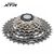 Кассета для велосипеда Shimano XTR M970, 9 скоростей, 11-34 ICSM9709134, изображение 2от магазина НаВелосипеде.рф Кассета для велосипеда Shimano XTR M970, 9 скоростей, 11-34 ICSM9709134, изображение 2 - НаВелосипеде.рф