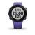 Часы спортивные Garmin Forerunner 45S, GPS, Small, EU, Iris, 010-02156-11, изображение 2от магазина НаВелосипеде.рф Часы спортивные Garmin Forerunner 45S, GPS, Small, EU, Iris, 010-02156-11, изображение 2 - НаВелосипеде.рф