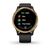Смарт-часы Garmin Venu, GPS, Wi-Fi, E.EU, Black/Gold, 010-02173-33, изображение 3 - НаВелосипеде.рф