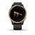 Смарт-часы Garmin Venu, GPS, Wi-Fi, E.EU, Black/Gold, 010-02173-33, изображение 7 - НаВелосипеде.рф
