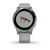 Смарт-часы Garmin vivoactive 4S, GPS, Wi-Fi, E.EU, Powder Gray/Silver, 010-02172-03, изображение 5 - НаВелосипеде.рф