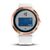 Смарт-часы Garmin vivoactive 3, E.EU, Silicone, White/Rose Gold, 010-01769-07, изображение 6 - НаВелосипеде.рф