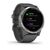 Смарт-часы Garmin vivoactive 4, GPS, Wi-Fi, E.EU, Shadow Gray/Silver, 010-02174-03, изображение  - НаВелосипеде.рф