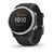 Смарт-часы Garmin fenix 6S Solar, Silver with Black Band, 010-02409-00, изображение  - НаВелосипеде.рф