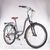 Женский велосипед Alpine Bike Costa 26" 2022, ALPB_CostaWT_M_22MY, Вариант УТ-00293306: Рама: M (Рост: 165-180 см), Цвет: серый, изображение  - НаВелосипеде.рф