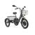 Трицикл GREEN CITY e-ALFA Trike Черный-2515, изображение  - НаВелосипеде.рф