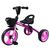 Детский велосипед Maxiscoo "Dolphin", трехколесный, складной, 2023, MSC-TCL2301BK, Вариант УТ-00341265: Цвет: Фиолетовый, изображение 2 - НаВелосипеде.рф