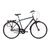 Городской велосипед ROMET ART NOVEAU 3 28" 2016, 5907782702168, Вариант УТ-00024111: Рама: 19" M (Рост: 172-180 см), Цвет: серый, изображение  - НаВелосипеде.рф
